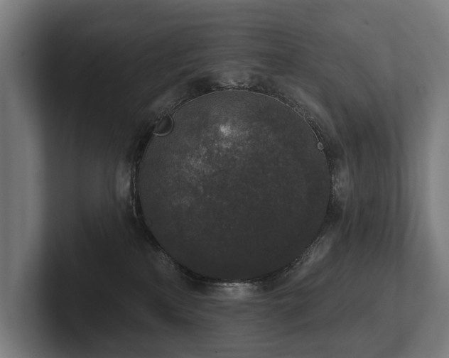 X0000102400233200808011553