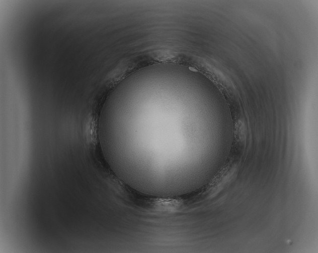 X0000102400234200808011553