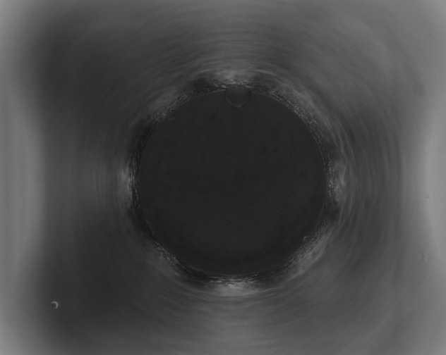 X0000102400235200808011553