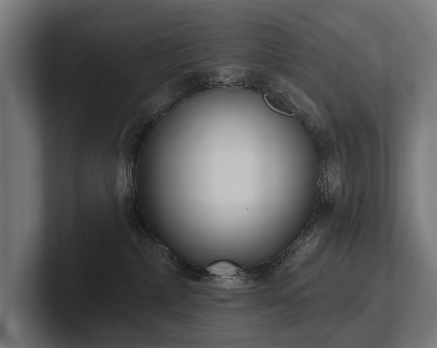 X0000102400236200808011553