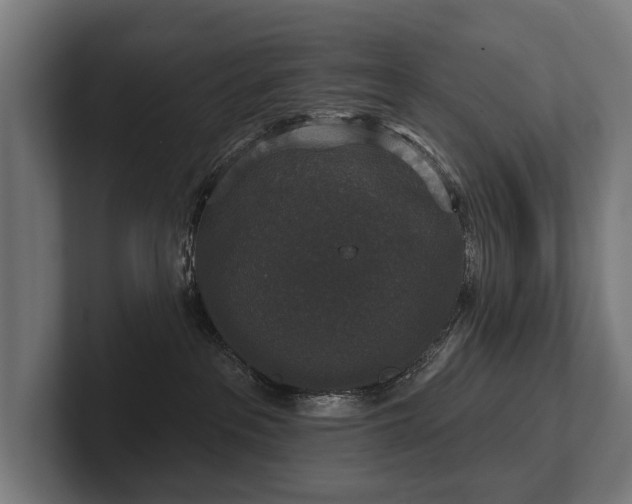 X0000102400237200808011553