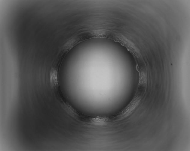 X0000102400238200808011553