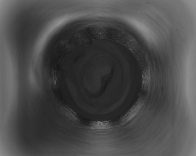 X0000102400239200808011553