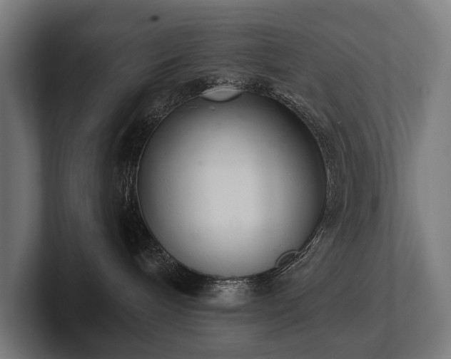 X0000102400240200808011553