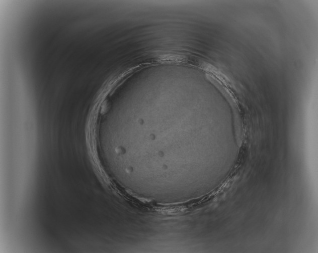 X0000102400241200808011552