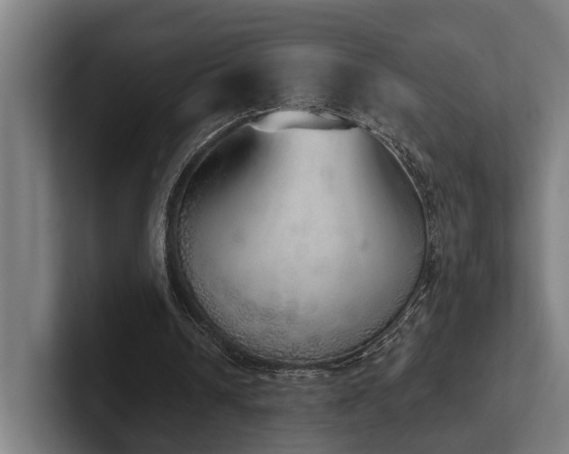 X0000102400242200808011552