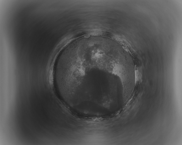 X0000102400243200808011552