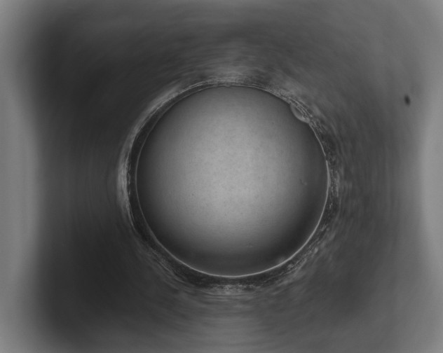 X0000102400244200808011552