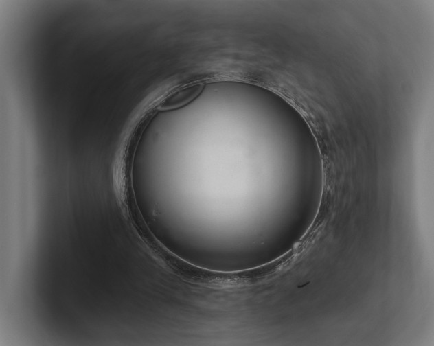 X0000102400245200808011552