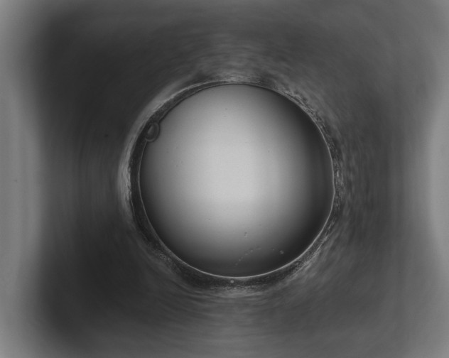 X0000102400246200808011552