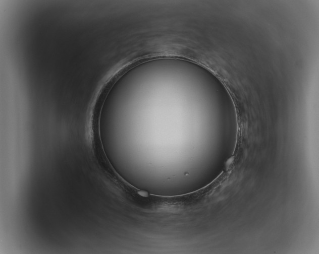 X0000102400248200808011552