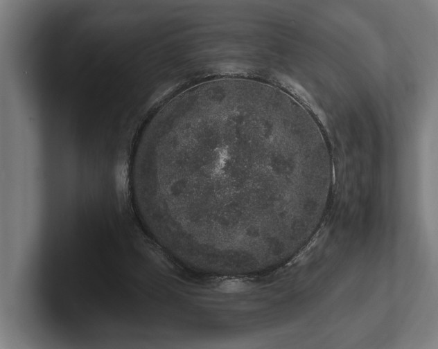 X0000102400249200808011552