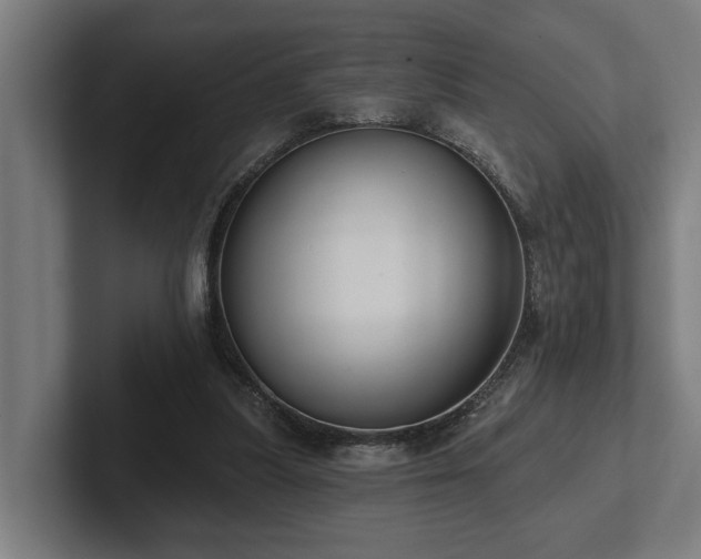 X0000102400251200808011552