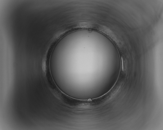 X0000102400252200808011552