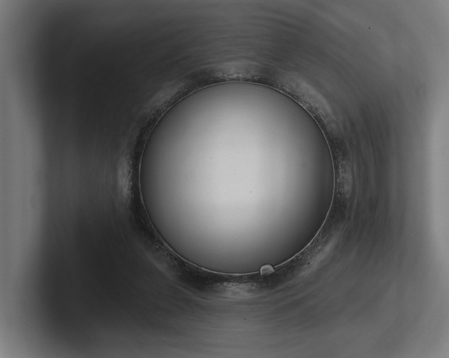 X0000102400255200808011552