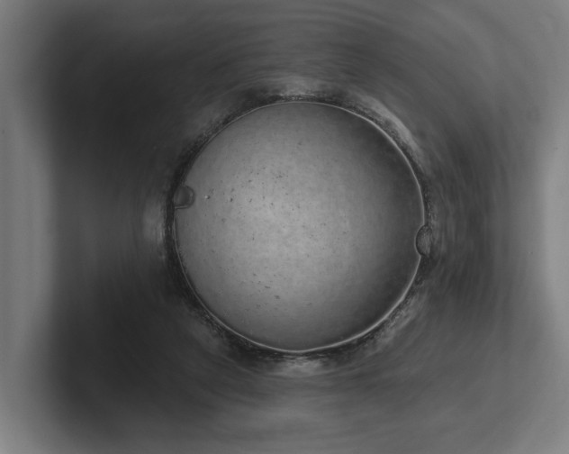 X0000102400257200808011552