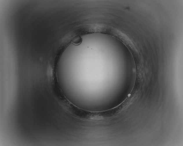 X0000102400258200808011552