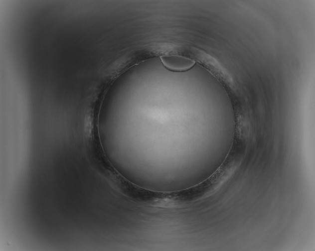 X0000102400259200808011552