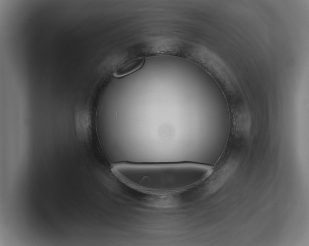 X0000102400260200808011552