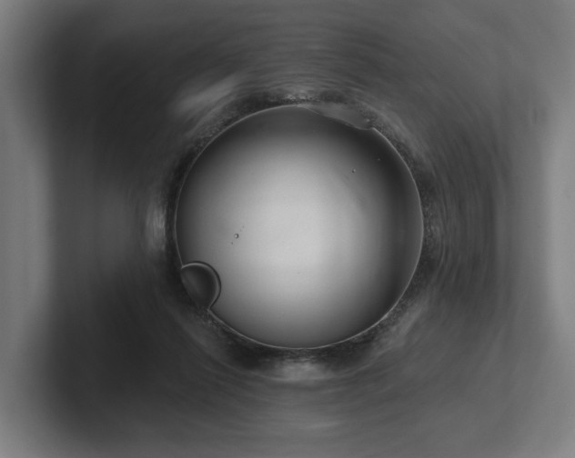 X0000102400262200808011552