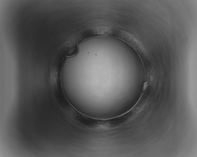 X0000102400263200808011552