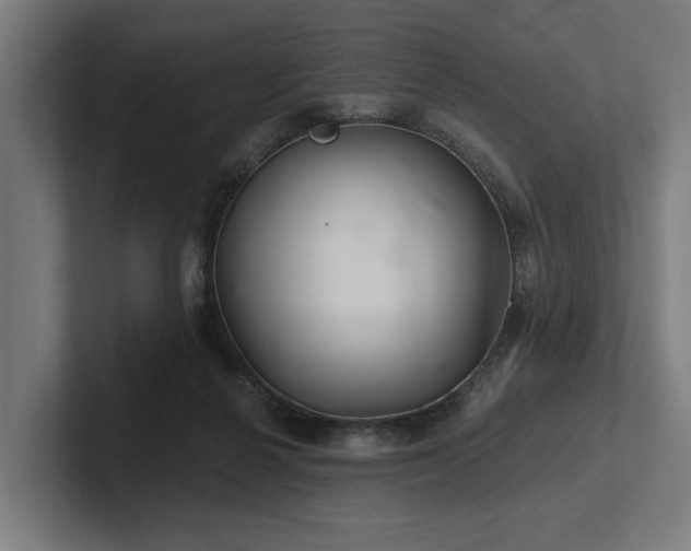 X0000102400264200808011552