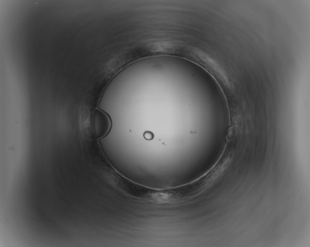 X0000102400265200808011552