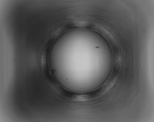 X0000102400268200808011552