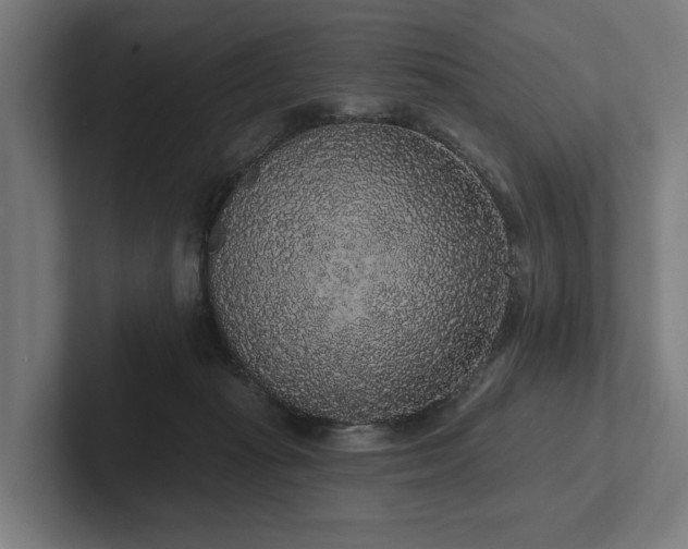 X0000102400269200808011552