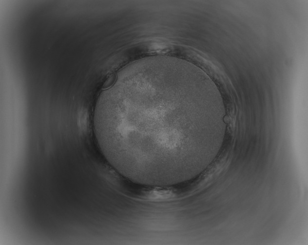 X0000102400270200808011552