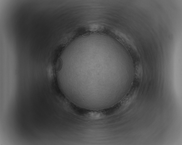 X0000102400272200808011552