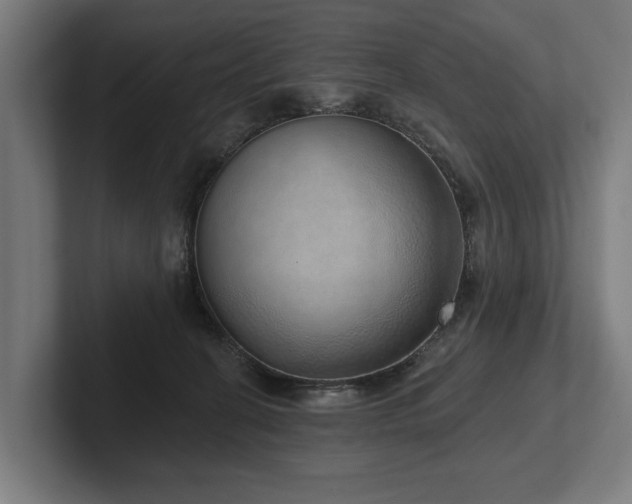 X0000102400274200808011552