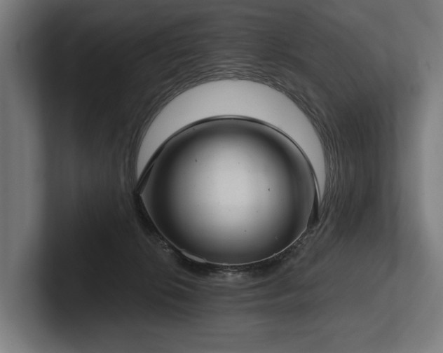 X0000102400276200808011552