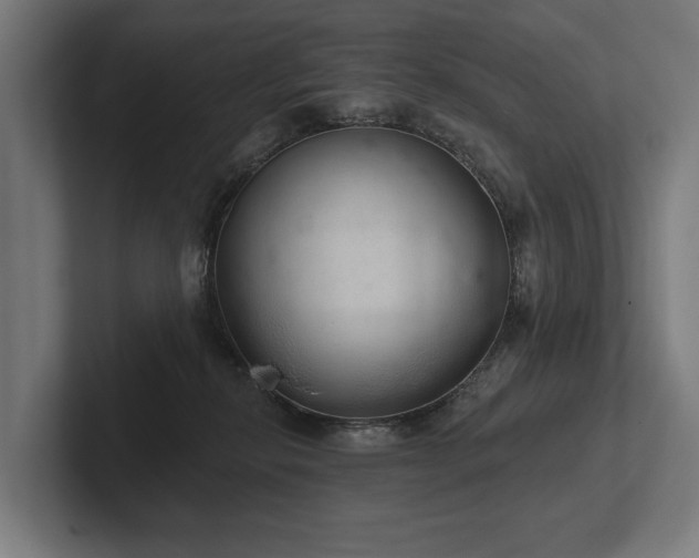 X0000102400278200808011552