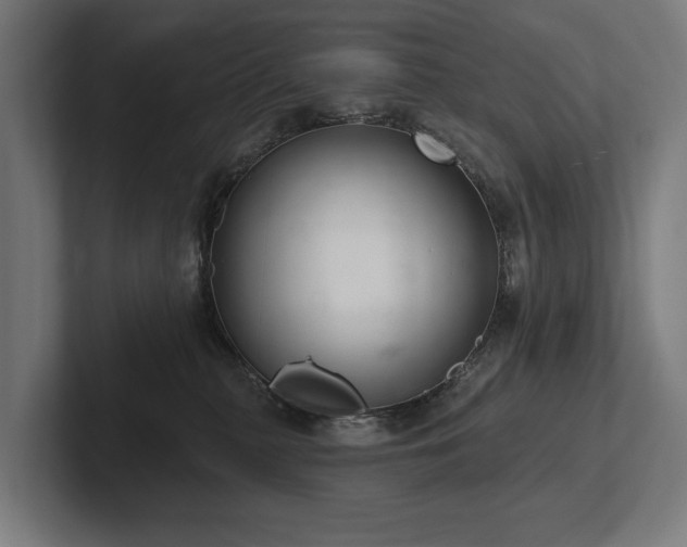 X0000102400279200808011553