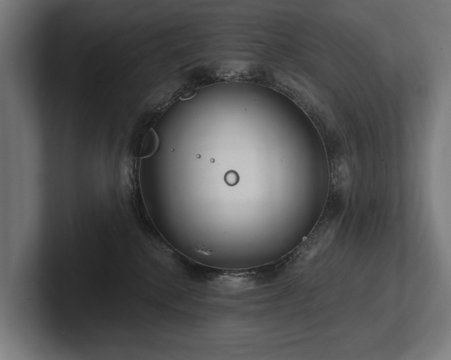 X0000102400280200808011553