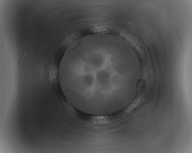 X0000102400281200808011553