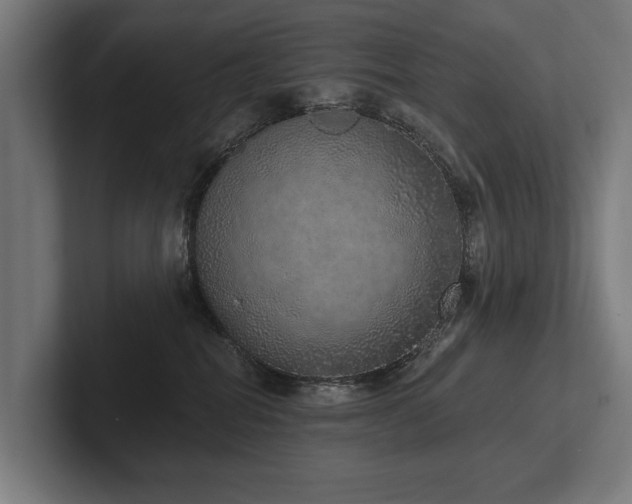 X0000102400282200808011553