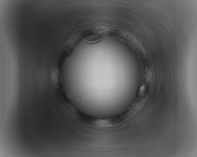 X0000102400283200808011553