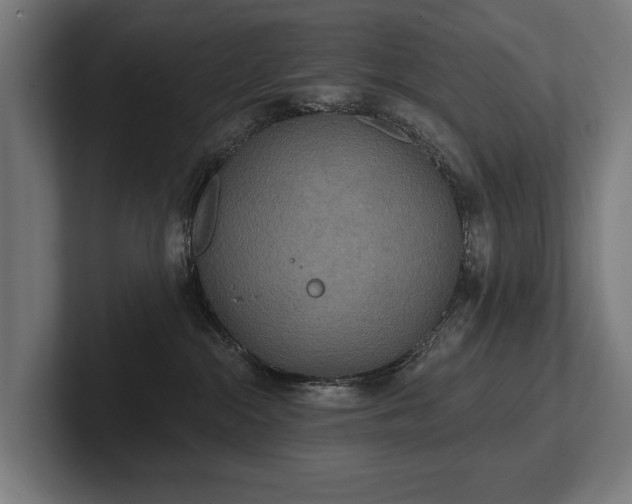 X0000102400284200808011553