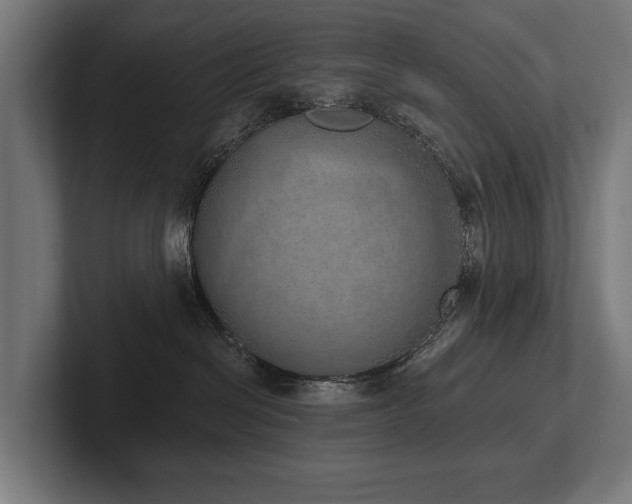 X0000102400286200808011553