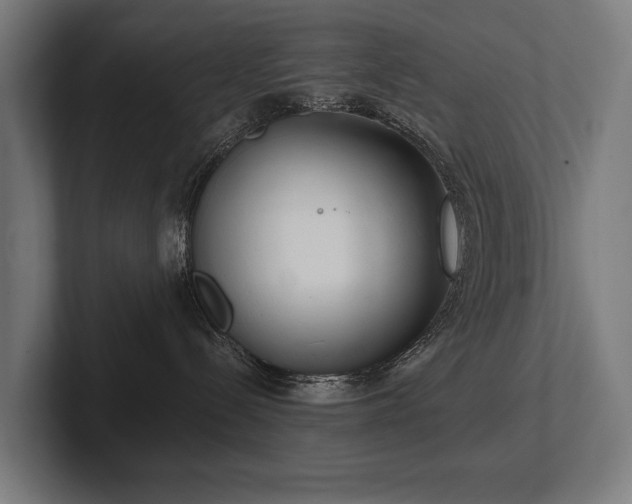 X0000102400288200808011553