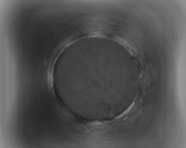 X0000102400290200808011552