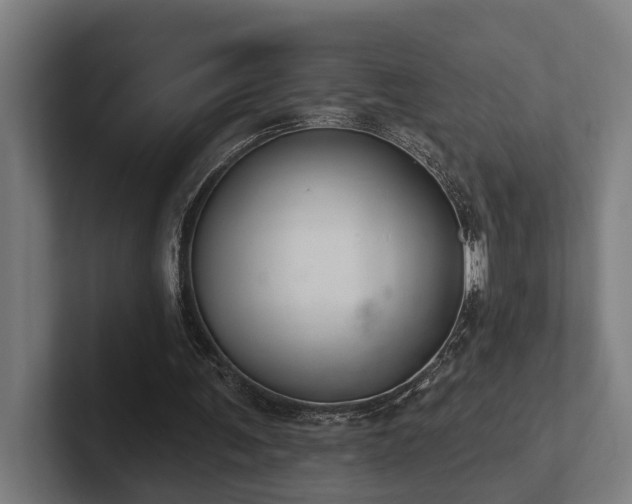 X0000102400291200808011552