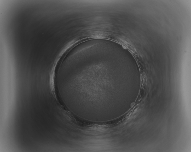 X0000102400292200808011552