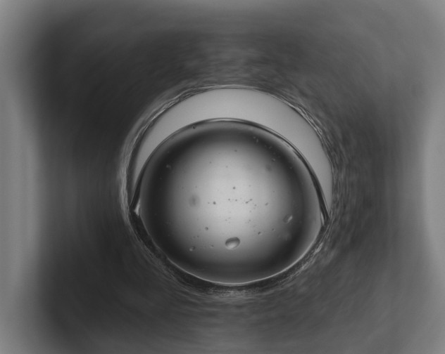 X0000102400293200808011552