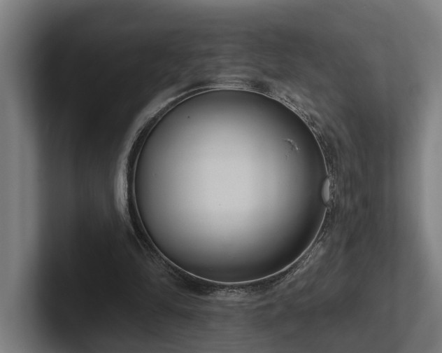 X0000102400294200808011552