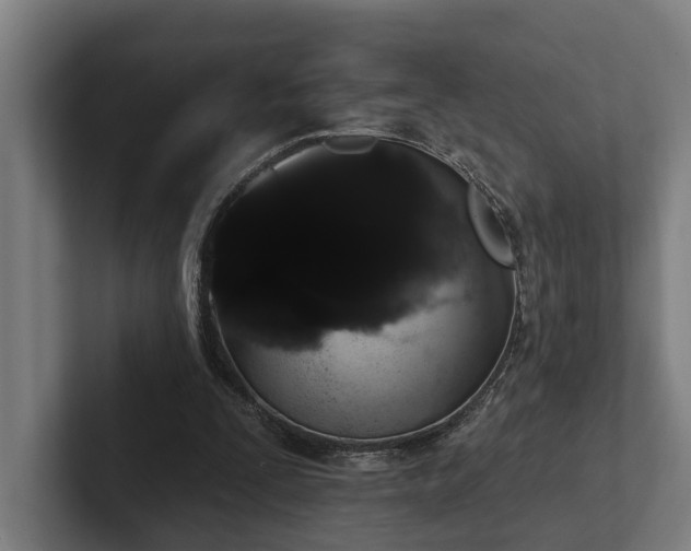 X0000102400295200808011552