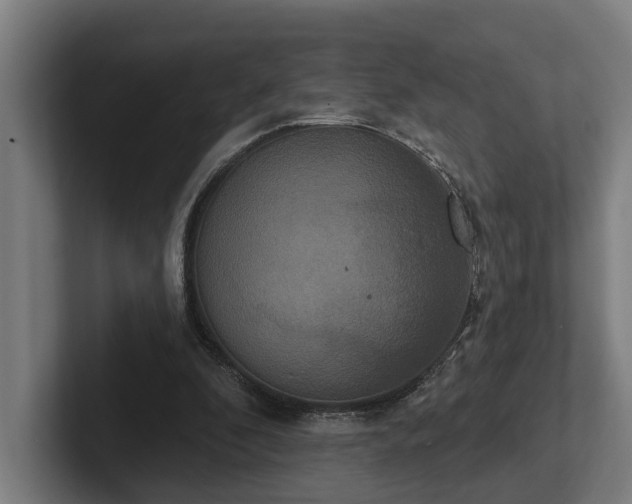 X0000102400296200808011552