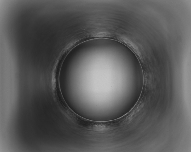 X0000102400298200808011552